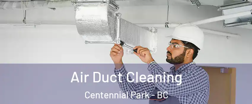 Air Duct Cleaning Centennial Park - BC