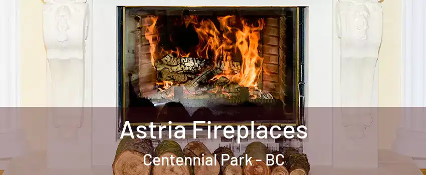  Astria Fireplaces Centennial Park - BC