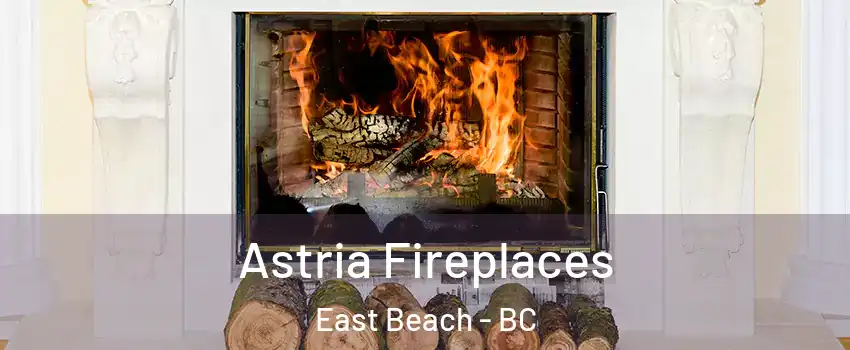  Astria Fireplaces East Beach - BC