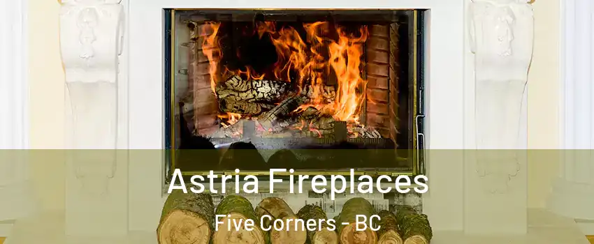  Astria Fireplaces Five Corners - BC