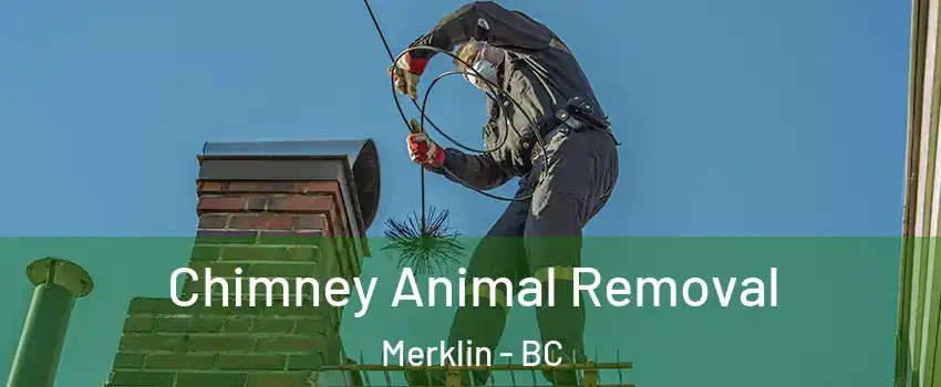  Chimney Animal Removal Merklin - BC