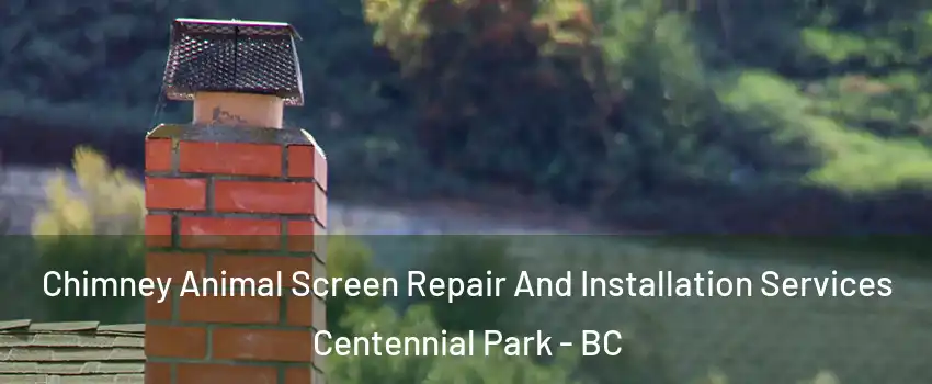  Chimney Animal Screen Repair And Installation Services Centennial Park - BC