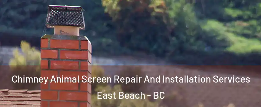  Chimney Animal Screen Repair And Installation Services East Beach - BC