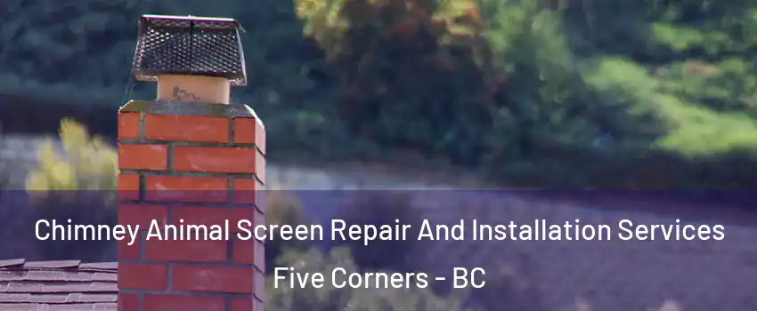  Chimney Animal Screen Repair And Installation Services Five Corners - BC