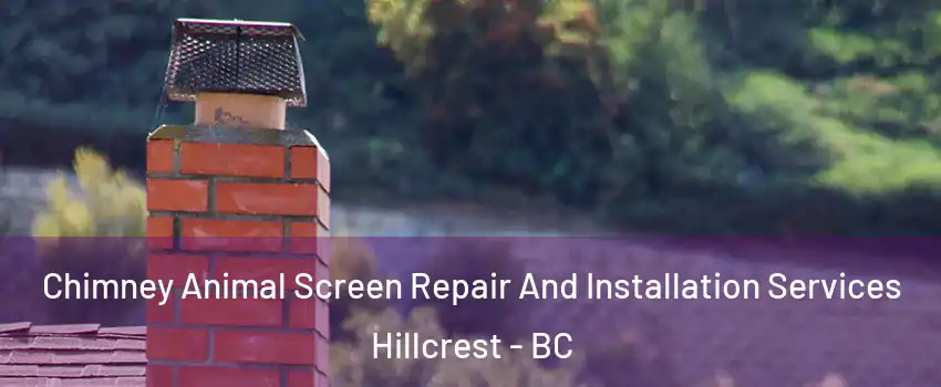  Chimney Animal Screen Repair And Installation Services Hillcrest - BC