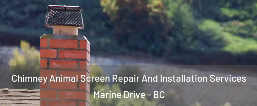  Chimney Animal Screen Repair And Installation Services Marine Drive - BC