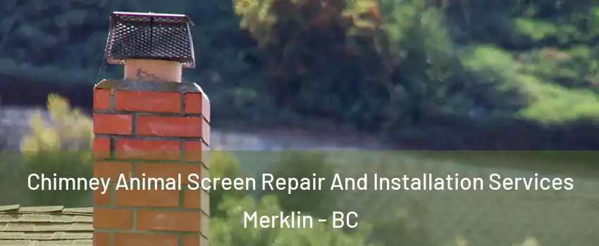  Chimney Animal Screen Repair And Installation Services Merklin - BC