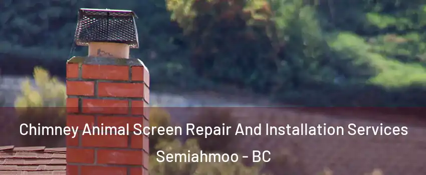  Chimney Animal Screen Repair And Installation Services Semiahmoo - BC
