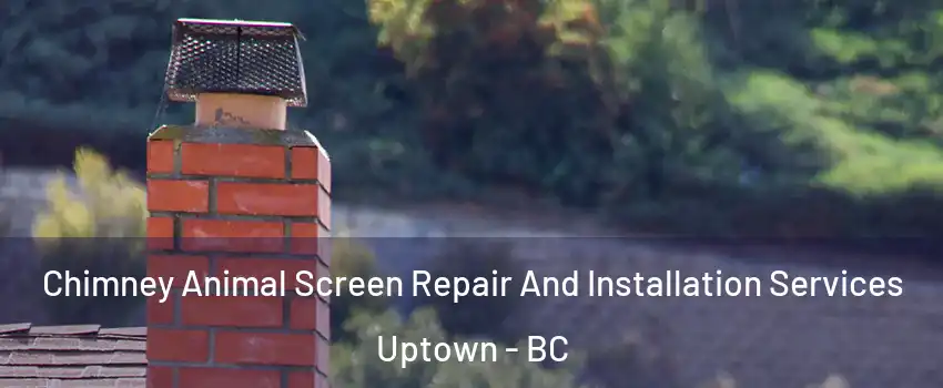  Chimney Animal Screen Repair And Installation Services Uptown - BC