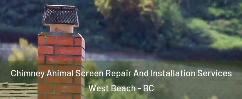  Chimney Animal Screen Repair And Installation Services West Beach - BC