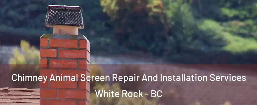 Chimney Animal Screen Repair And Installation Services White Rock - BC