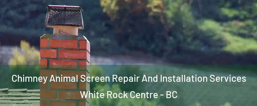  Chimney Animal Screen Repair And Installation Services White Rock Centre - BC