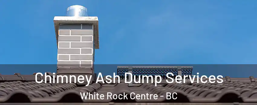  Chimney Ash Dump Services White Rock Centre - BC