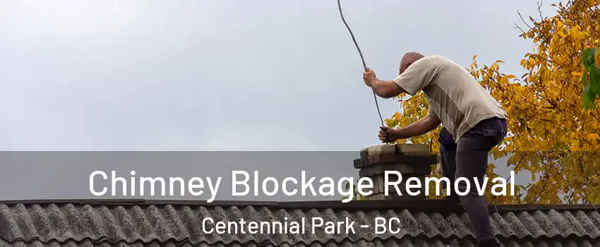  Chimney Blockage Removal Centennial Park - BC