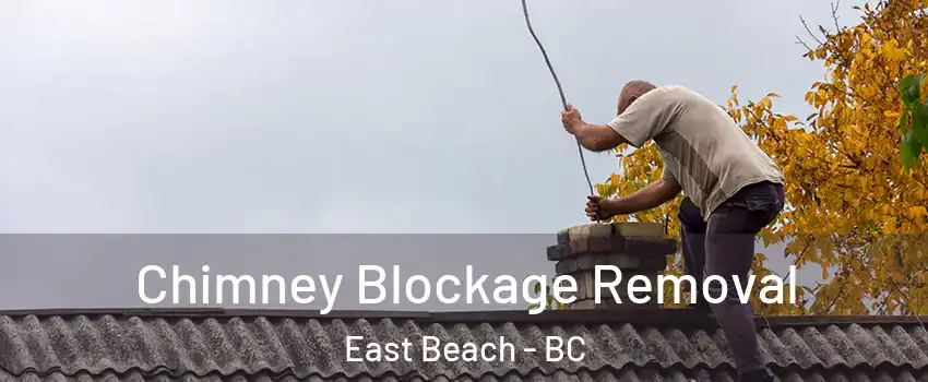  Chimney Blockage Removal East Beach - BC