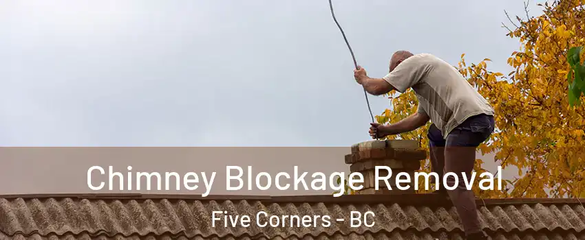  Chimney Blockage Removal Five Corners - BC