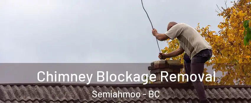  Chimney Blockage Removal Semiahmoo - BC