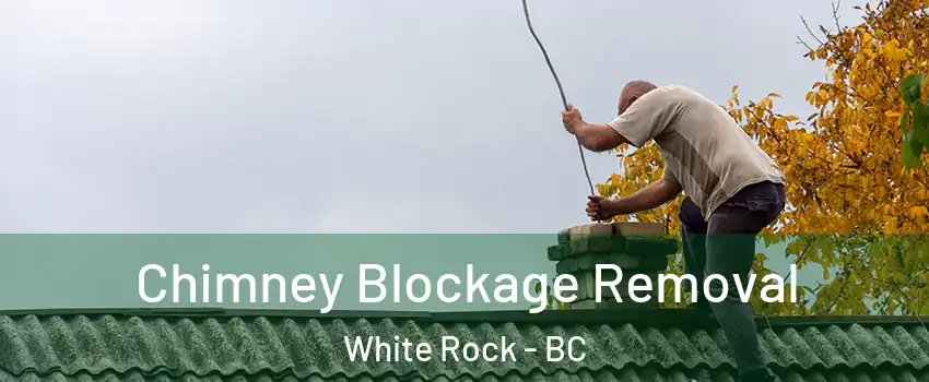  Chimney Blockage Removal White Rock - BC