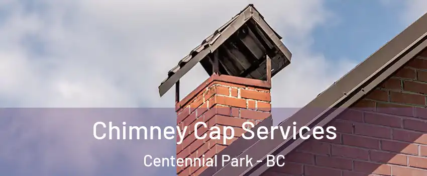  Chimney Cap Services Centennial Park - BC