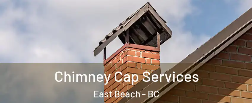  Chimney Cap Services East Beach - BC