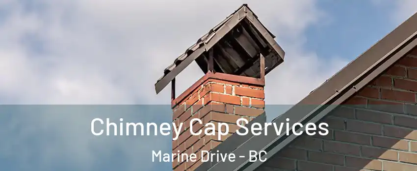  Chimney Cap Services Marine Drive - BC