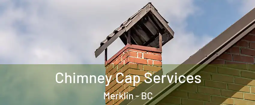  Chimney Cap Services Merklin - BC