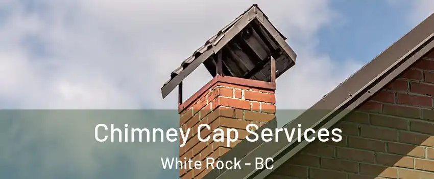  Chimney Cap Services White Rock - BC