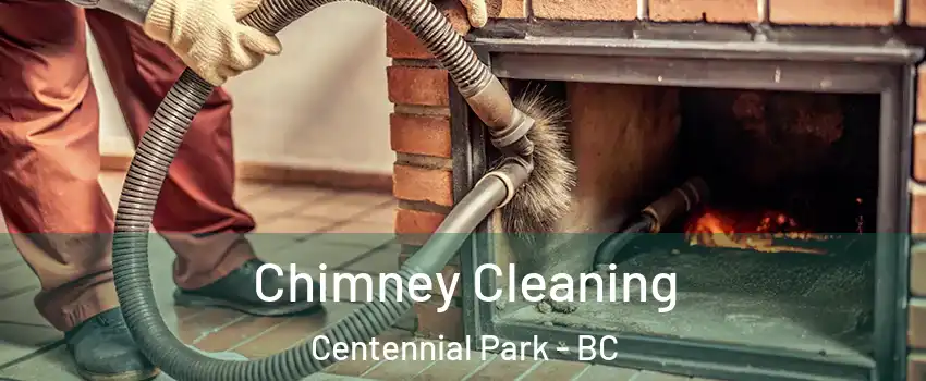  Chimney Cleaning Centennial Park - BC