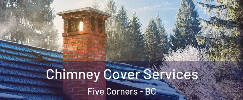 Chimney Cover Services Five Corners - BC