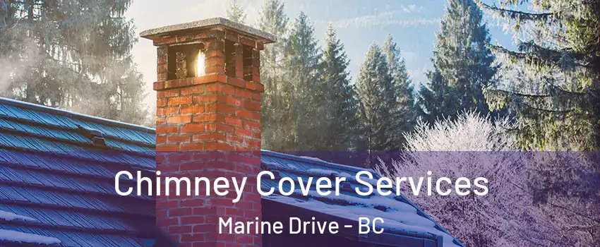  Chimney Cover Services Marine Drive - BC