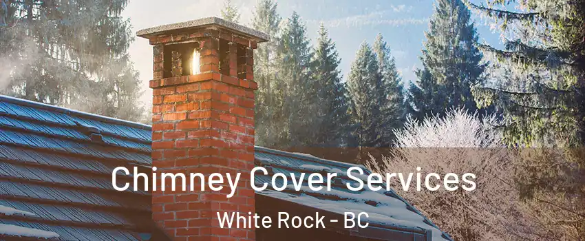 Chimney Cover Services White Rock - BC