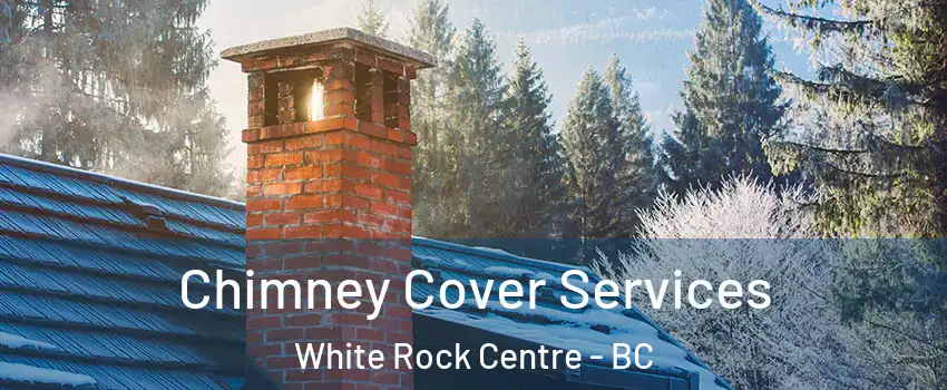  Chimney Cover Services White Rock Centre - BC