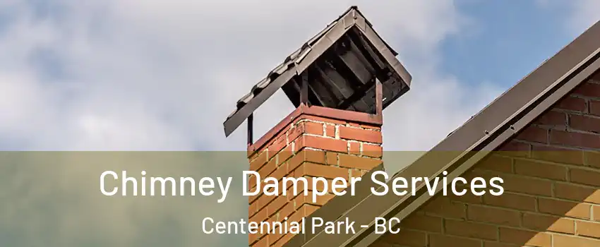  Chimney Damper Services Centennial Park - BC