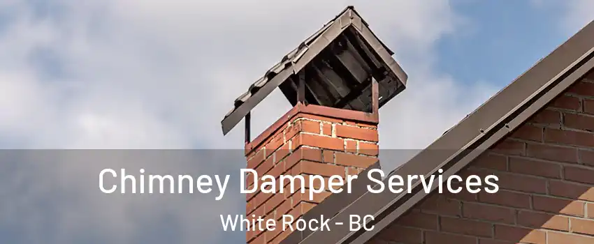  Chimney Damper Services White Rock - BC