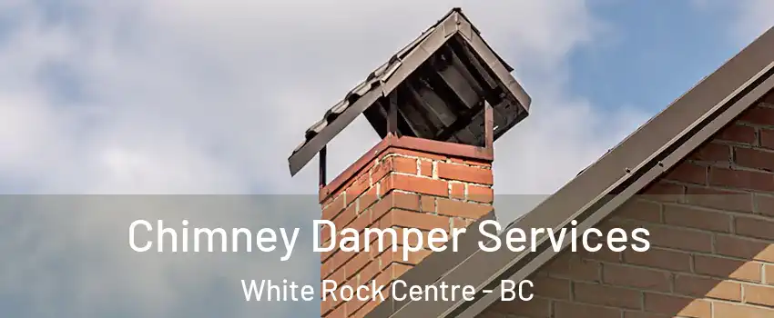  Chimney Damper Services White Rock Centre - BC