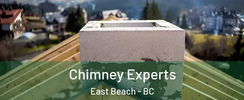  Chimney Experts East Beach - BC