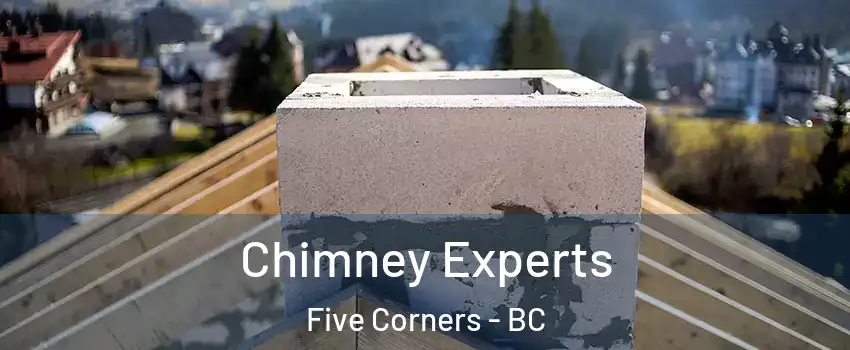  Chimney Experts Five Corners - BC
