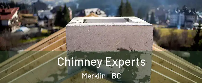  Chimney Experts Merklin - BC
