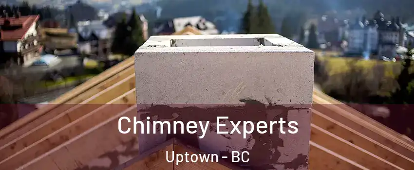  Chimney Experts Uptown - BC