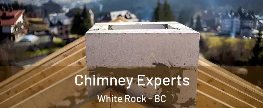  Chimney Experts White Rock - BC