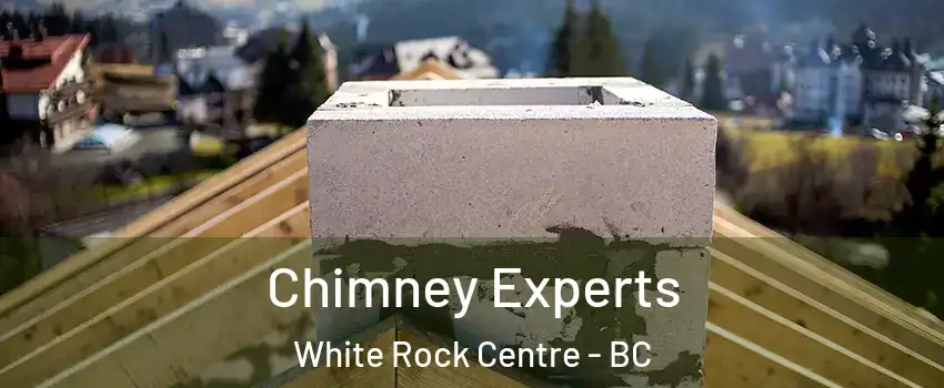  Chimney Experts White Rock Centre - BC