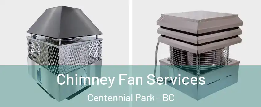 Chimney Fan Services Centennial Park - BC