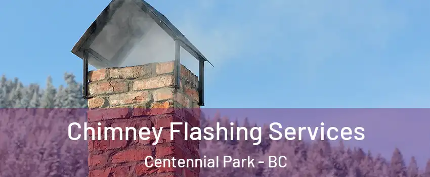  Chimney Flashing Services Centennial Park - BC