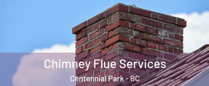  Chimney Flue Services Centennial Park - BC