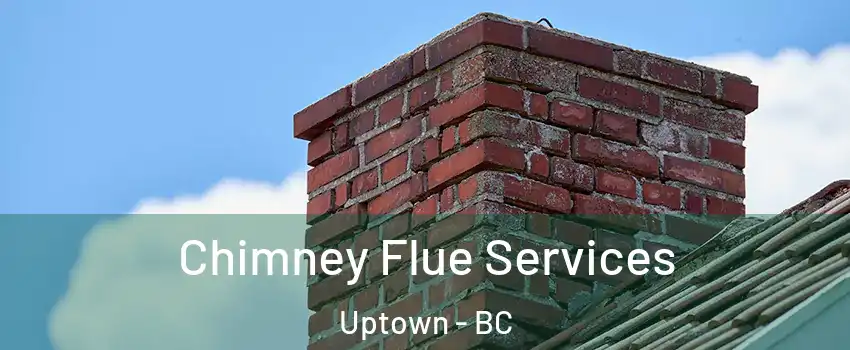  Chimney Flue Services Uptown - BC