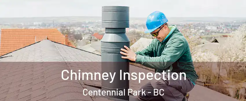 Chimney Inspection Centennial Park - BC