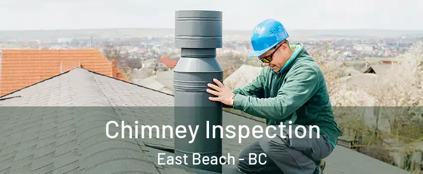Chimney Inspection East Beach - BC