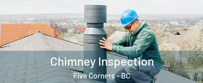  Chimney Inspection Five Corners - BC