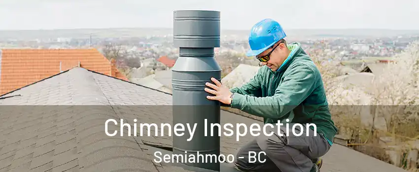  Chimney Inspection Semiahmoo - BC