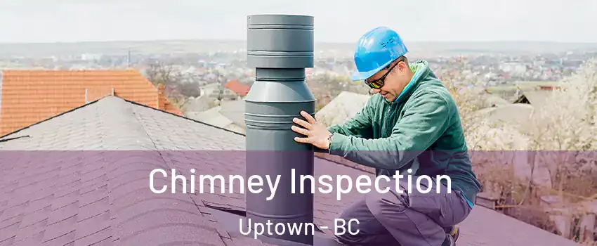  Chimney Inspection Uptown - BC